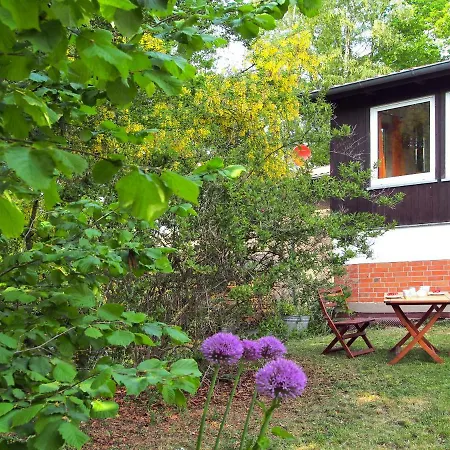 Am Διαμέρισμα Dummer